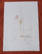 Salvador Dali (1904-1989) -  Don Quichotte et le bouclier, Antiek en Kunst