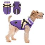 Warme  Hondenjas Paars 2026 model (Jassen, Hondenkleding), Ophalen of Verzenden, Nieuw, Hondenjas