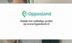 Berry zoekt een oppas in Susteren voor 2 kinderen op zate..., Vacatures, Vacatures | Horeca en Catering