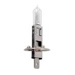 ProPlus Autolamp - 12V - 55W - P14.5S - H1 - blisterverpa..., Ophalen of Verzenden, Nieuw