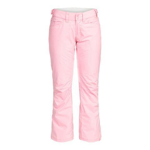 Roxy Snowboardbroek Backyard, Kleding | Dames, Sportkleding, Nieuw, Verzenden