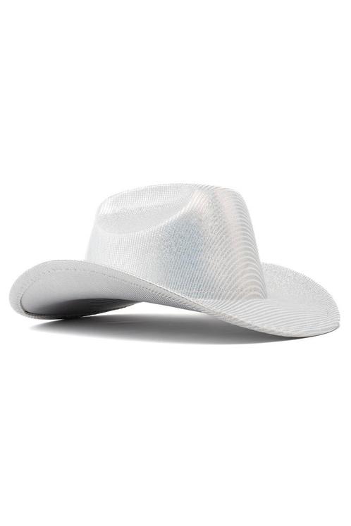Cowboyhoed Strepen Zilver Zilveren Gestreepte Cowboy Western, Kleding | Dames, Carnavalskleding en Feestkleding, Nieuw, Carnaval