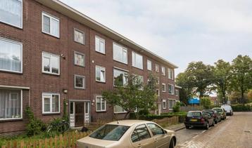 Te Huur 3 Kamer Appartement Kwartelstraat In Rotterdam beschikbaar voor biedingen