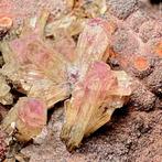 adamiet Adamiet, Var Manganoan adamiet, fluorescerend uit