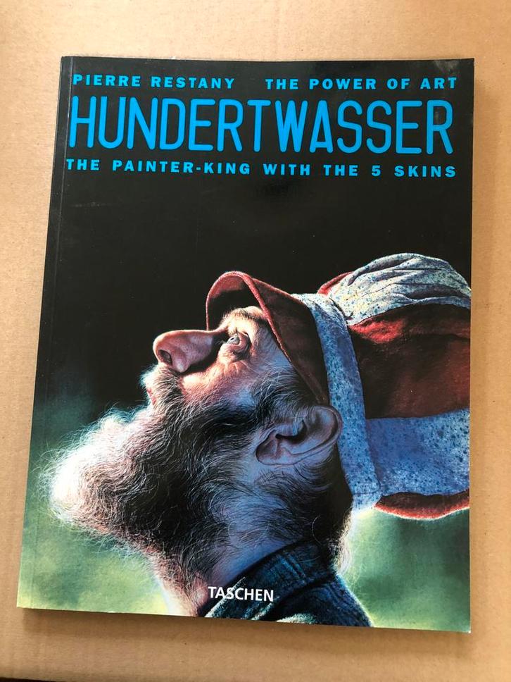 Hundertwasser The Painter-King With the 5 Skins - NIEUW, Boeken, Kunst en Cultuur | Beeldend, Zo goed als nieuw, Schilder- en Tekenkunst