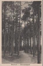 BLARICUM - Dennenbosch, Verzenden, Gelopen
