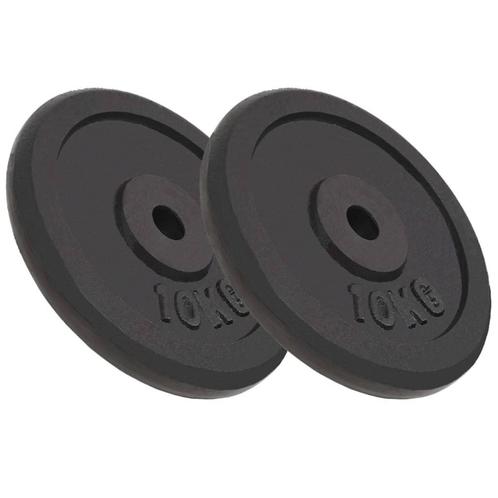 vidaXL Halterschijven 2 st 2x10 kg gietijzer, Sport en Fitness, Fitnessmaterialen, Nieuw, Verzenden