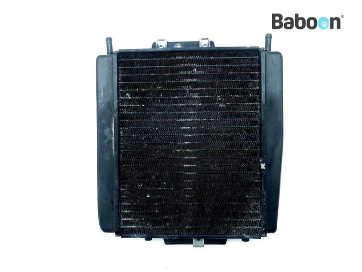 Radiateur Piaggio | Vespa MP3 400 LT 2011 (VIN: ZAPM64200), Motoren, Onderdelen | Overige, Gebruikt, Verzenden