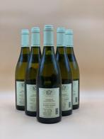 2023 Louis Jadot - Chablis - 6 Flessen (0.75 liter), Nieuw