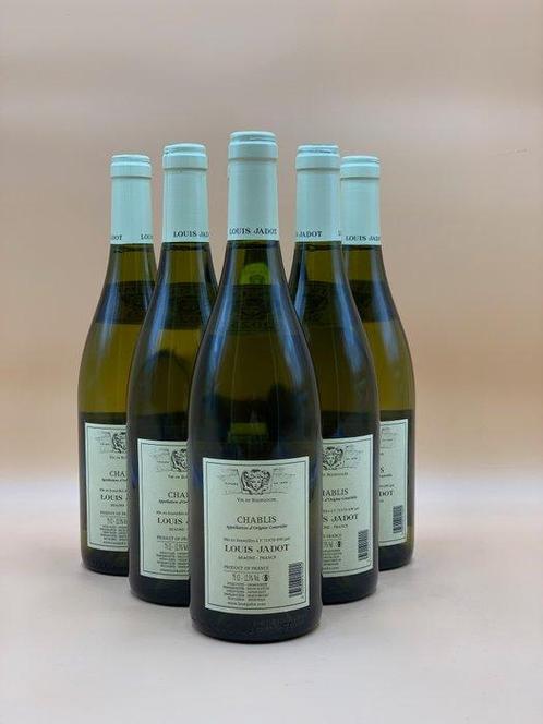 2023 Louis Jadot - Chablis - 6 Flessen (0.75 liter), Verzamelen, Wijnen