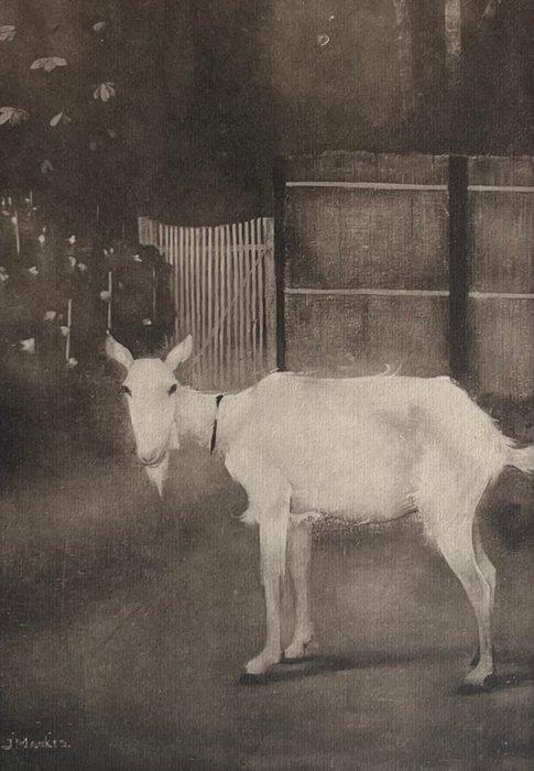 Jan Mankes (1889-1920) - Oude geit, Antiek en Kunst, Antiek | Overige Antiek