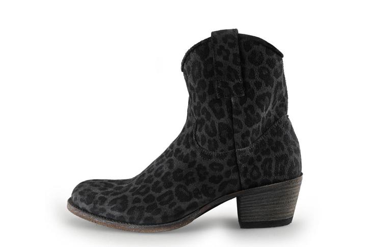 DWRS enkellaarzen in maat 38 Panter | 10% korting, Kleding | Dames, Schoenen, Overige kleuren, Zo goed als nieuw, Lage of Enkellaarzen