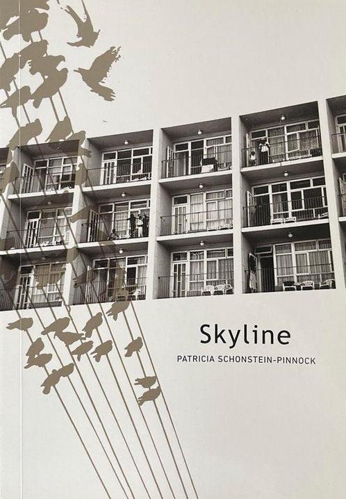 Skyline, Boeken, Overige Boeken, Ophalen of Verzenden