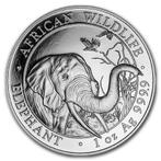 Somalische Olifant 1 oz 2018, Zilver, Losse munt, Overige landen, Verzenden