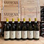 2023 Villa Bucci, Verdicchio Classico dei Castelli di Jesi -, Verzamelen, Nieuw
