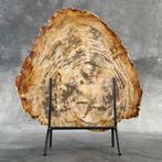 C-Wonderful grote plak versteend hout op een op maat, Antiek en Kunst