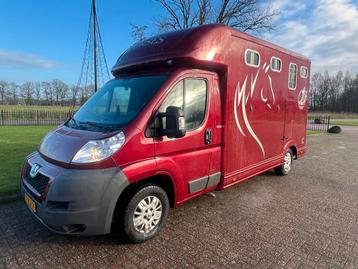 Hele nette Peugeot 2-paards paardenwagen te koop! 2011 beschikbaar voor biedingen