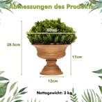Tweedekans | Coast 4-Pack kunstmatige mini-potplanten voor, Huis en Inrichting, Ophalen of Verzenden, Zo goed als nieuw