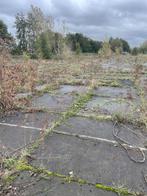 Gebruikte betonplaat 185x165x10 met hoeklijn B Keus..., Doe-het-zelf en Verbouw, Ophalen of Verzenden, Nieuw