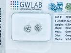 2 pcs Diamant (Natuurlijk gekleurd) - 0.60 ct - Rond - Fancy, Nieuw