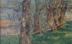 Europese school (XX) - Expressionistisch zicht op knotwilgen