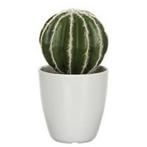 Groene Echinocactus/bolcactus kunstplant 28 cm in witte po.., Huis en Inrichting, Kamerplanten, Ophalen of Verzenden