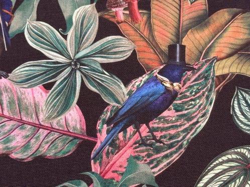 Enigmatisch bos: aristocratische apen en vogels in smoking -, Antiek en Kunst, Curiosa en Brocante