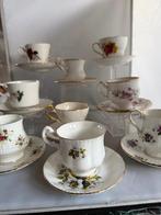 Duchess Elizabethan, Royal Standard e.a. - Kop en schotel