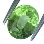 Zonder Minimumprijs - 1 pcs Groen Olivijn - 4.55 ct -, Sieraden, Tassen en Uiterlijk, Edelstenen, Nieuw