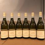 2023 Oddero, Riesling - Piëmont DOC - 6 Flessen (0.75 liter), Nieuw