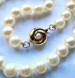 Zonder minimumprijs - Halsketting 14 kt geelgoud -, Nieuw