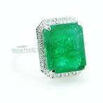 Ring Platina - 9.99ct. tw. Smaragd - Diamant - IGI - Smaragd, Nieuw