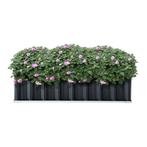 [en.casa] Moestuinbak Zevenaar 118x90x30 cm staal antracietg, Huis en Inrichting, Slaapkamer | Bedden, Verzenden, Nieuw