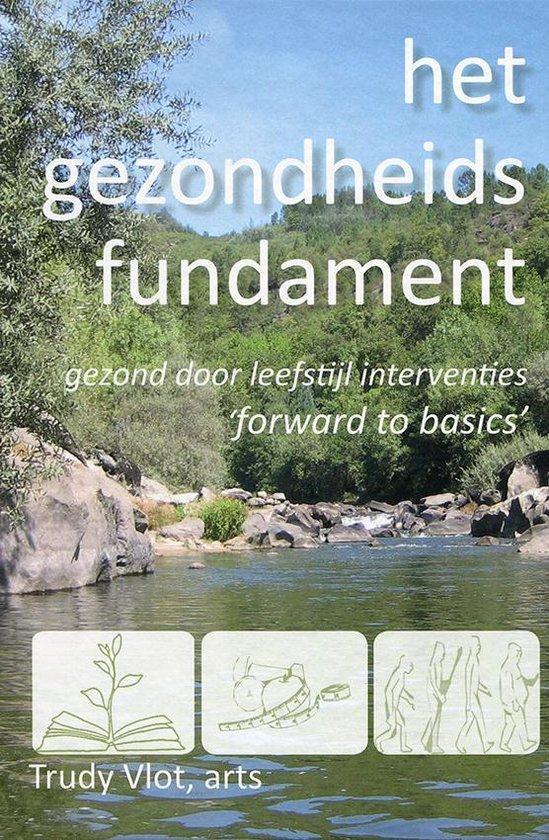 Het gezondheidsfundament 9789082628807 Trudy Vlot, Boeken, Gezondheid, Dieet en Voeding, Zo goed als nieuw, Verzenden