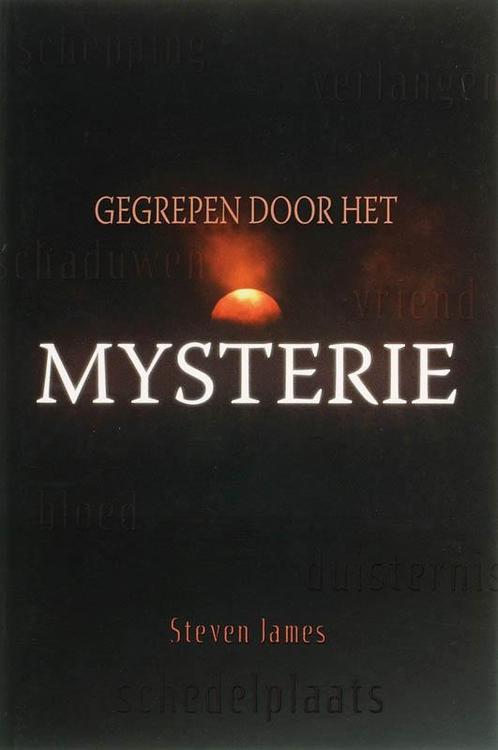 GEGREPEN DOOR HET MYSTERIE 9789033818424 S. James, Boeken, Godsdienst en Theologie, Gelezen, Verzenden