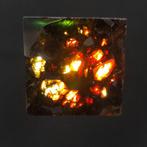 Meteoriet Pallasiet Scherico Plak - Hoogte: 0.5 cm -, Verzamelen, Mineralen en Fossielen
