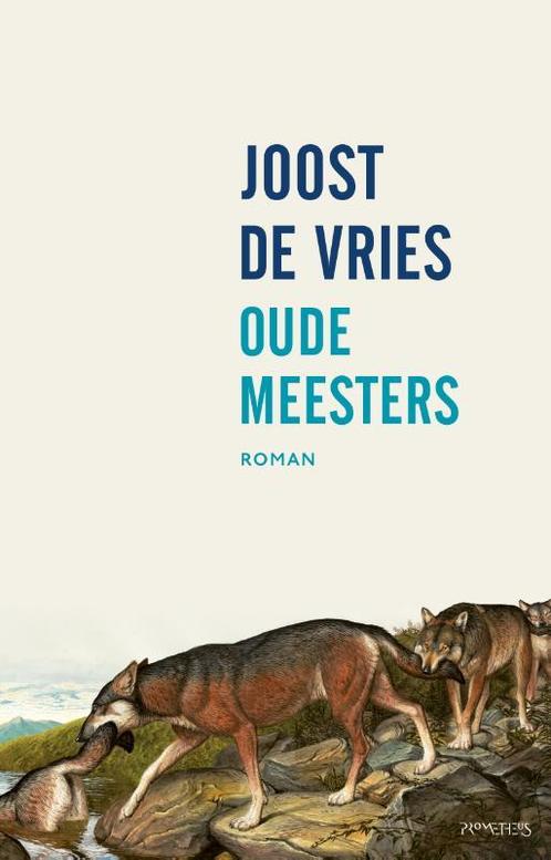 Oude meesters 9789044634303 Joost de Vries, Boeken, Romans, Zo goed als nieuw, Verzenden