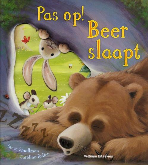 Pas op! Beer slaapt 9789048302031 Steve Smallman, Boeken, Kinderboeken | Kleuters, Gelezen, Verzenden