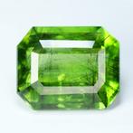 1 pcs Groen, Geel Olivijn - 46.13 ct - nternational Colored, Nieuw