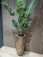 Schelpenvaas 90cm + palmboom | gratis parkeren voor de deur, Huis en Inrichting, Woonaccessoires | Vazen, Nieuw
