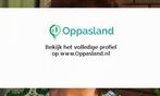Ik ben Debby en ik zoek oppaswerk in Wassenaar., Diensten en Vakmensen, Dieren | Overige | Verzorging, Oppas en Les