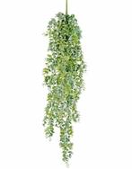 Kunstplant Eucalyptus Hangend | 60cm, Huis en Inrichting, Ophalen, Nieuw