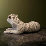 Witte Tijger Welp Taxidermie Opgezette Dieren By Max, Verzamelen, Dierenverzamelingen, Ophalen of Verzenden, Nieuw, Wild dier