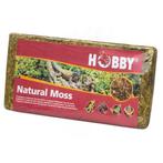 Hobby Terrano Natural Moss 100 Gram, Dieren en Toebehoren, Reptielen en Amfibieën | Toebehoren, Nieuw, Ophalen of Verzenden