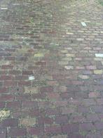 Oude gebakken keiformaten Wateringen (op pallets), Tuin en Terras, Tegels en Klinkers, Ophalen of Verzenden, Gebruikt, Klinkers