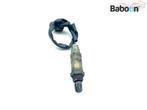 Lambda Sonde Piaggio | Vespa Beverly 500 2006-2012, Motoren, Gebruikt