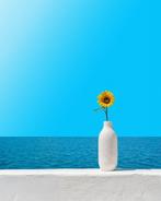 Téber - Eternal Sunshine (3)