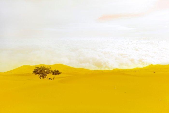 Viet Ha Tran - Clouds on the Sahara, Antiek en Kunst, Kunst | Designobjecten