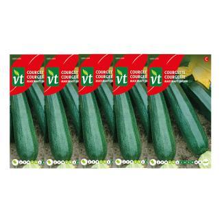 Courgettezaad | VT | 5 stuks, Tuin en Terras, Bloembollen en Zaden, Verzenden
