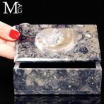 Sigarenetui - Exclusieve sigarenhouder - Fossil Ammonite